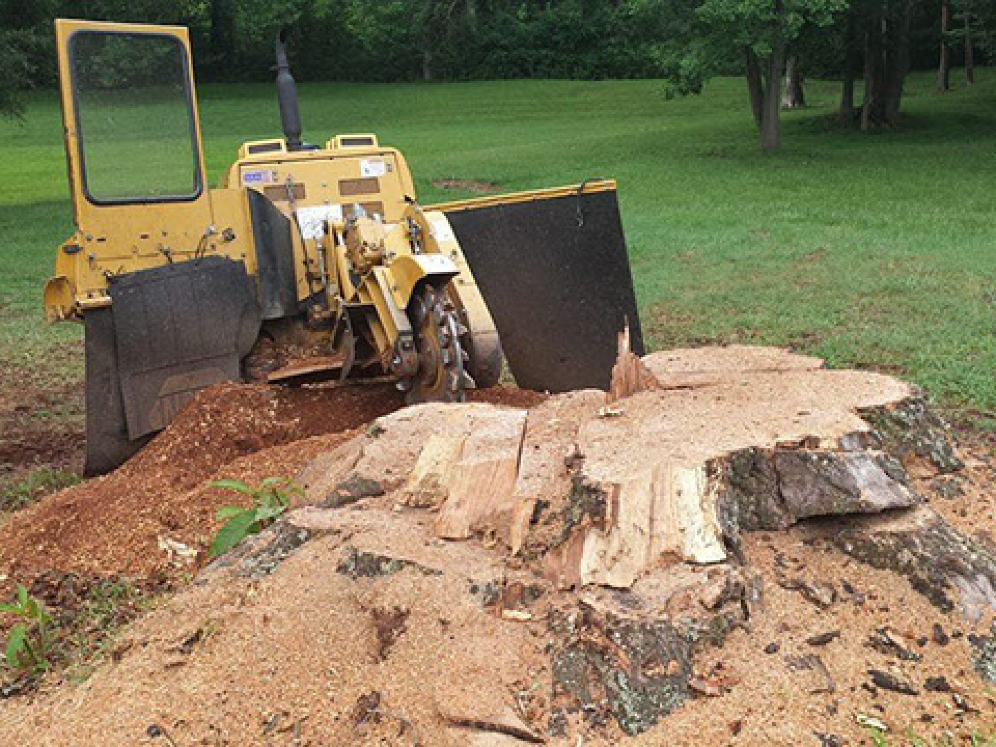 Zep stump remover, 28104 Matthews NC